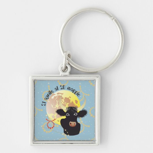 Toro 21 aprile al 20 maggio Portachiavi Sleutelhanger (Voorkant)