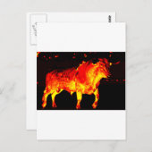 TORO BRAVO BRIEFKAART (Voorkant / Achterkant)