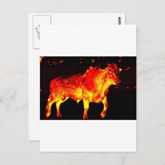 TORO BRAVO BRIEFKAART (Voorkant / Achterkant)