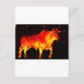 TORO BRAVO BRIEFKAART (Voorkant)