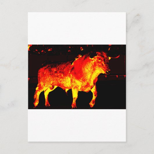 TORO BRAVO BRIEFKAART (Voorkant)