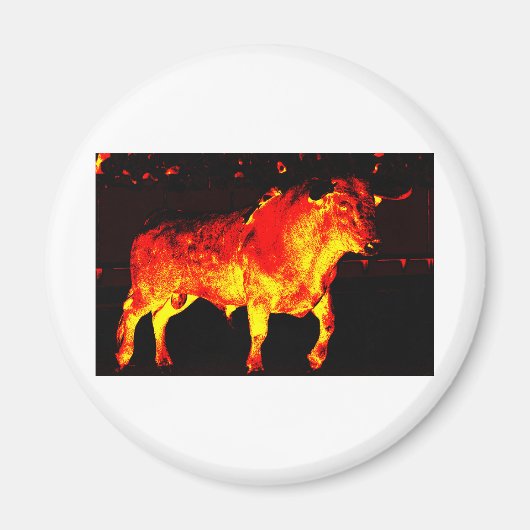 TORO BRAVO MAGNEET (Voorkant)