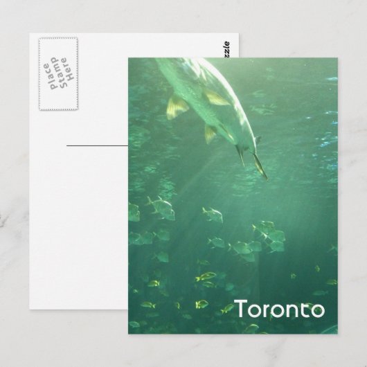 Toronto Aquarium Briefkaart (Voorkant / Achterkant)