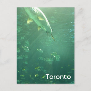 Toronto Aquarium Briefkaart
