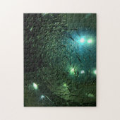 Toronto Aquarium Canada. Legpuzzel (Verticaal)