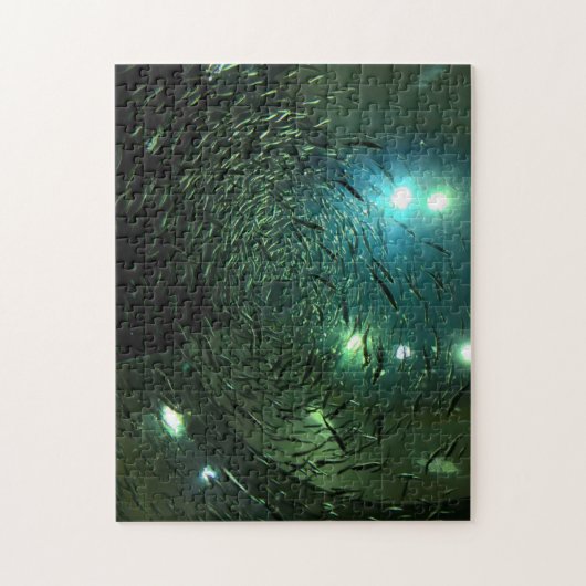 Toronto Aquarium Canada. Legpuzzel (Verticaal)