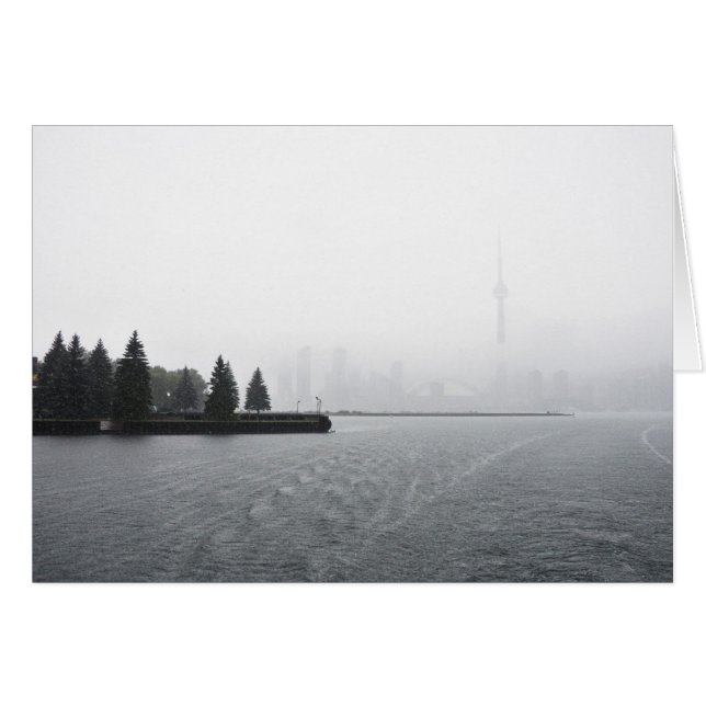 Toronto Harbour Skyline in de regen (Voorkant Horizontaal)