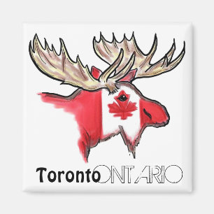 Toronto Ontario Canada lokale vlag magnet