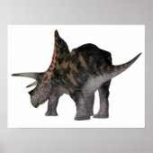 Torosaurus Dinosaur Tail Poster (Voorkant)
