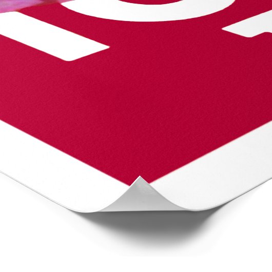 Torpedo de as poster (Hoek)