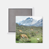 Torres del Paine - koelkast magneet van Velvet Esc (Voorkant / Achterkant)