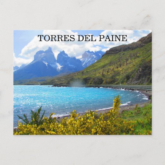 torres del paine park briefkaart (Voorkant)