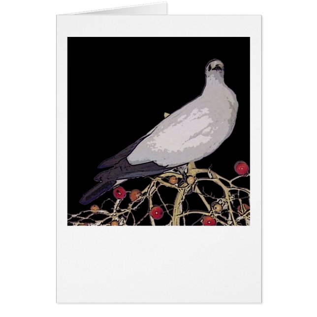Torresian Imperial Pigeon-kaart (Voorkant)