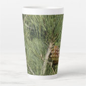 Torrey Pine Close-up Californië Botanisch Latte Mok (Voorkant)