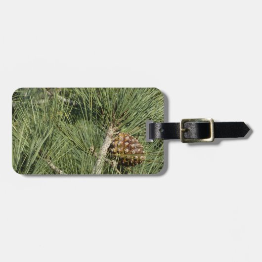 Torrey Pine Closeup California Botanical Bagagelabel (Voorkant horizontaal)