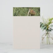 Torrey Pine Closeup California Botanical Briefpapier (Staand voorkant)
