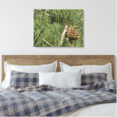 Torrey Pine Closeup California Botanical Canvas Afdruk (Insitu (Slaapkamer))