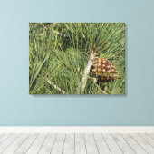 Torrey Pine Closeup California Botanical Canvas Afdruk (Insitu (Houten vloer))