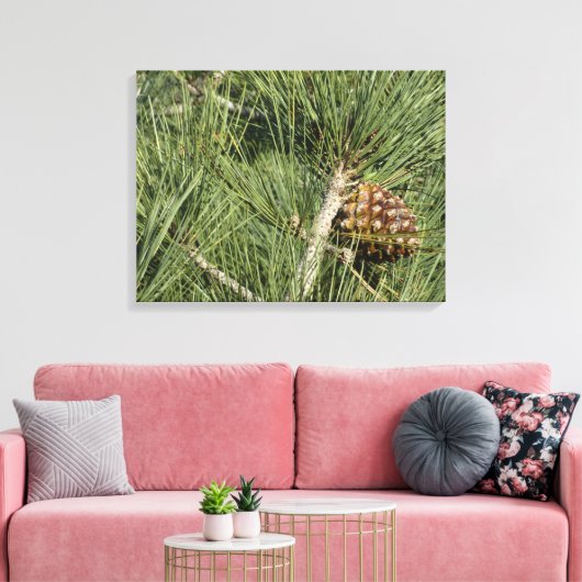 Torrey Pine Closeup California Botanical Canvas Afdruk (Insitu (Woonkamer))
