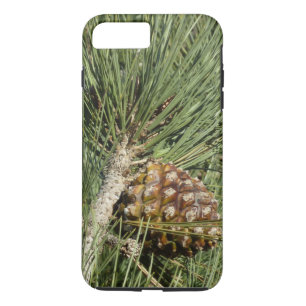 Torrey Pine Closeup California Botanical Case-Mate iPhone Case