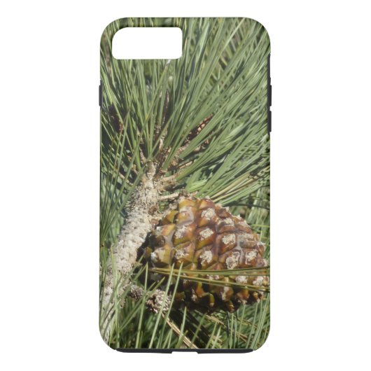 Torrey Pine Closeup California Botanical Case-Mate iPhone Case (Achterkant)