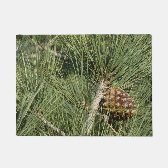 Torrey Pine Closeup California Botanical Deurmat (Voorkant)