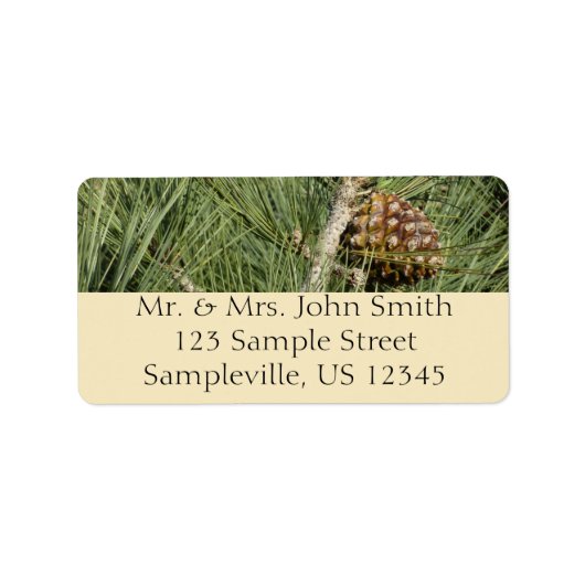 Torrey Pine Closeup California Botanical Etiket (Voorkant)