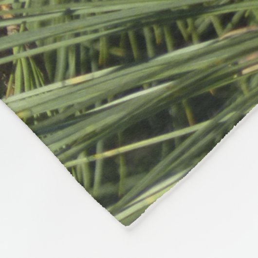 Torrey Pine Closeup California Botanical Fleece Deken (Hoek)