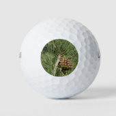 Torrey Pine Closeup California Botanical Golfballen (Voorkant)