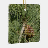 Torrey Pine Closeup California Botanical Keramisch Ornament (Rechts)