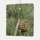 Torrey Pine Closeup California Botanical Keramisch Ornament (Links)
