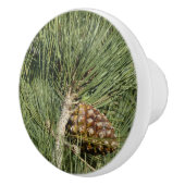 Torrey Pine Closeup California Botanical Keramische Knop (Rechts)