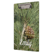 Torrey Pine Closeup California Botanical Klembord (Links)