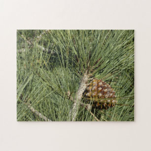 Torrey Pine Closeup California Botanical Legpuzzel