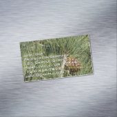 Torrey Pine Closeup California Botanical Magnetisch Visitekaartje (Voorbeeld)