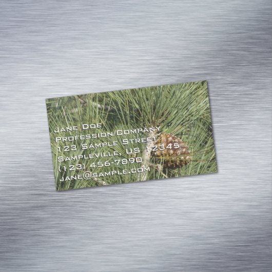 Torrey Pine Closeup California Botanical Magnetisch Visitekaartje (Voorbeeld)