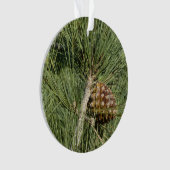 Torrey Pine Closeup California Botanical Ornament (voorkant)