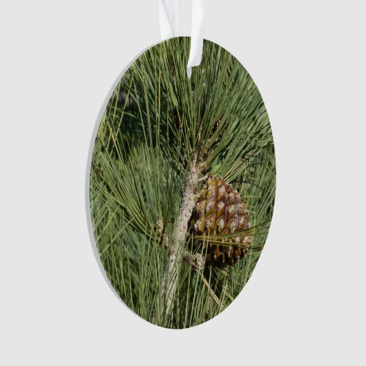 Torrey Pine Closeup California Botanical Ornament (voorkant)