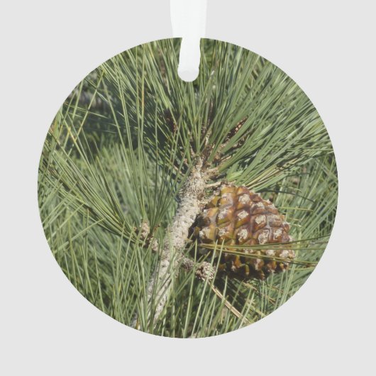 Torrey Pine Closeup California Botanical Ornament (achterkant)