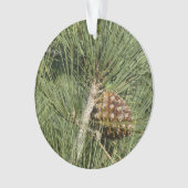 Torrey Pine Closeup California Botanical Ornament (voorkant)