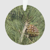 Torrey Pine Closeup California Botanical Ornament (voorkant)