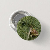 Torrey Pine Closeup California Botanical Ronde Button 3,2 Cm (Voorkant /achterkant)
