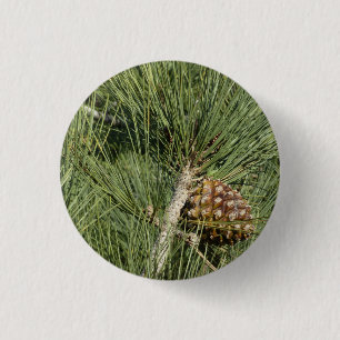 Torrey Pine Closeup California Botanical Ronde Button 3,2 Cm