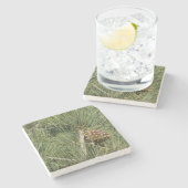 Torrey Pine Closeup California Botanical Stenen Onderzetter (Zijkant)