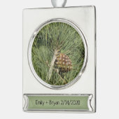 Torrey Pine Closeup California Botanical Verzilverd Banner Ornament (Links)