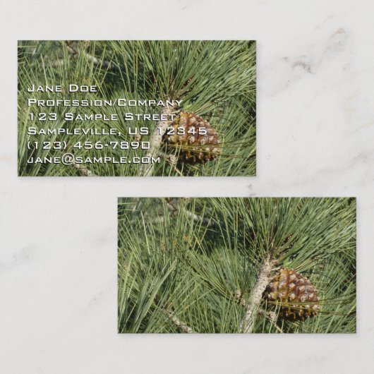 Torrey Pine Closeup California Botanical Visitekaartje (Voorkant / Achterkant)