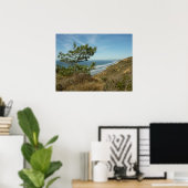 Torrey Pine en Californische kust landschap Poster (Thuiskantoor)