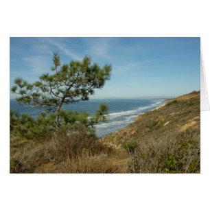 Torrey Pine en Californische kustlijn landschap