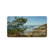 Torrey Pine en Californische kustlijn landschap