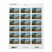 Torrey Pine en Californische kustlijn landschap Etiket (Full Sheet)